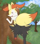  anus black_anus braixen butt canid canine flirtation flirtatious flirting_look fox fox_tail generation_6_pokemon grass hi_res lidded_eyes looking_at_viewer looking_back mammal nature nedrik nintendo null outside pawpads paws pink_pawpads plant pokemon pokemon_(species) presenting presenting_hindquarters raised_leg raised_tail tree 