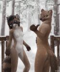  5_fingers american_pine_marten anthro blue_eyes breasts day detailed_background difetra duo eyebrows eyelashes featureless_crotch female fingers forest hi_res mammal navel nude open_mouth outside plant procyonid raccoon snow teeth tongue tree 