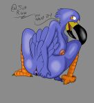  @sunraw4 absurd_res andromorph anthro anus avian bird breasts butt female genitals hi_res intersex inviting mature_female pussy solo text toucan 
