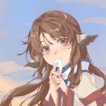  1girl animal_ears brown_hair closed_mouth cloud eruruw eyelashes hands_up highres light_particles long_hair long_sleeves pink_eyes smile solo twilight upper_body utawarerumono virno wide_sleeves 