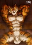  absurd_res animal_genitalia anthro felid fully_sheathed genitals hi_res male mammal markings muscular nipples pantherine sauna sheath solo steam striped_markings stripes tiger towel_around_waist weirdmarks 