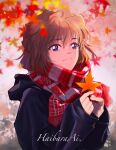  1girl autumn autumn_leaves bangs black_jacket blurry blurry_background blush brown_hair character_name closed_mouth commentary falling_leaves haibara_ai hair_between_eyes highres holding holding_leaf hood hood_down hooded_jacket jacket jiusi1019 leaf looking_at_viewer maple_leaf meitantei_conan outdoors purple_eyes red_scarf scarf short_hair sleeves_past_wrists smile solo striped striped_scarf symbol-only_commentary upper_body 