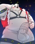  2022 anthro araiguma_11 balls bear belly big_belly black_nose blush christmas erection genitals holidays humanoid_genitalia humanoid_hands humanoid_penis kemono male mammal night outside overweight overweight_male penis polar_bear solo star ursine white_body 