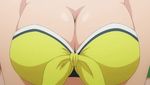  animated animated_gif bikini bouncing_breasts breasts cap cleavage gif large_breasts lowres screencap siesta swimsuit zero_no_tsukaima 