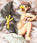  bald_eagle beak bird breasts brown_hair eagle edmol female red_eyes solo talons transformation wings 