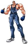  boxing_gloves facial_hair fanco_bash fatal_fury franco_bash garou_densetsu hellstinger male male_focus manly muscle mustache overall snk whiskey whisky 