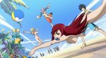  beach breasts cap erza_scarlet fairy_tail gray_fullbuster happy_(fairy_tail) lucy_heartfilia natsu_dragneel nude nude_filter photoshop zenra 