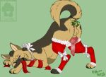  anatomically_correct animal_genitalia animal_penis anus balls bent_over butt canid canine canine_penis canis christmas clothing domestic_dog erection feral genitals german_shepherd herding_dog holidays legwear looking_at_viewer male mama-hyena mammal mistletoe mistletoe_on_tail pastoral_dog penis plant presenting ribbons solo stockings 
