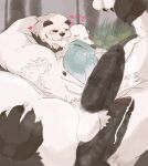  abs absurd_res barazoku bear beartic dominant embarrassed generation_5_pokemon generation_6_pokemon genitals hi_res horny male male/male mammal nintendo pangoro penis pokemon pokemon_(species) polar_bear sex spread_legs spreading thigh_sex ursine 