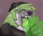  anthro bear black_clothing black_shirt black_topwear bodily_fluids burp_cloud burping burping_in_face canid canine clothing dripping duo dylandaburr dylandaburr_(artist) ear_piercing eyeshadow forced fox fur green_hair green_tongue grey_body grey_fur hair hat headgear headwear hi_res holding_micro imminent_vore macro macro_pred makeup male male/male mammal micro piercing saliva saliva_drip saliva_string shirt text tongue topwear unwilling_prey unwilling_vore vore ych_(character) yellow_body yellow_fur 