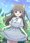  1girl absurdres animal_ears animal_print bangs blue_eyes blush brown_hair cat_ears cat_girl cat_print cat_tail dress field flower frilled_shirt_collar frills hair_ribbon highres indie_virtual_youtuber itigori_ena long_hair looking_at_viewer mole mole_under_eye neck_ribbon open_mouth outdoors plaid plaid_dress plaid_ribbon ribbon short_sleeves skirt_hold sky solo tail tree two_side_up tyakomis very_long_hair virtual_youtuber 