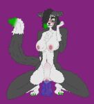  abdominal_bulge anthro areola belly_blush bite biting_lip black_body black_fur black_hair blush bodily_fluids body_blush border_collie canid canine canis cheek_tuft claws clitoris clitoris_piercing collie colored_nails dildo dildo_in_pussy dildo_insertion domestic_dog drooling ear_piercing ear_ring eyebrow_piercing eyeliner eyeshadow facial_piercing facial_tuft female floppy_ears fluffy fluffy_chest fluffy_tail fur genital_fluids genital_piercing genitals green_body green_claws green_eyes green_fur green_hair green_nails hair hair_over_eye herding_dog industrial_piercings kneeling lip_piercing makeup mammal masturbation nails navel navel_piercing navel_ring nipple_piercing nipple_ring nipples nose_piercing nose_ring one_eye_obstructed pastoral_dog penetration piercing purple_background pussy pussy_blush pussy_juice pussy_piercing ramona_(windowsvista95) ring_piercing saliva sex_toy sex_toy_in_pussy sex_toy_insertion sheepdog simple_background solo tuft vaginal vaginal_penetration white_body white_fur windowsvista95 