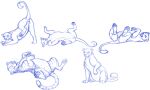  ass_up butt felid female feral genitals group hi_res inviting kisu lion mammal multiple_poses pantherine pose pregnant pregnant_female presenting presenting_hindquarters presenting_pussy pussy raised_leg raised_tail sketch tiger 