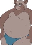  2022 anthro belly big_belly bodily_fluids bulge canid canine clothing hi_res kemono male mammal mixeeeel moobs navel overweight overweight_male raccoon_dog solo sweat tanuki underwear 