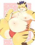  2022 absurd_res anthro asian_clothing belly big_belly bulge clothing detailed_bulge east_asian_clothing eyes_closed felid fundoshi hi_res ibuki_haruno japanese_clothing kemono male mammal moobs navel nipples overweight overweight_male pantherine red_clothing red_fundoshi red_underwear solo tiger underwear 