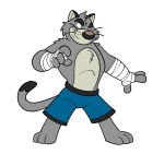  2022 3_toes 4_fingers anthro bandage bandaged_arm blue_eyes bottomwear brok_the_investigator clothing dadotronic domestic_cat feet felid feline felis fingers fur graff_filsh grey_body grey_fur hi_res humanoid_hands male mammal shorts simple_background solo toes white_background 