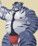  2022 anthro asian_clothing belly big_belly blue_body clothing east_asian_clothing felid fundoshi hi_res japanese_clothing kemono male mammal moobs nanntaro nipples overweight overweight_male pantherine red_clothing red_fundoshi red_underwear simple_background solo tiger underwear 