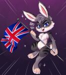  anthro black_body black_fur black_stripes blue_eyes british crystal_(mvw) female fur grey_body grey_fur grey_hair hair hi_res lagomorph leporid mammal rabbit solo stripes union_jack white_body white_fur wizaria 