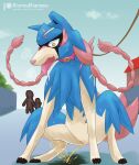  blue_body blue_fur bodily_fluids braided_fur building canid canine collar constricted_pupils crouching day faceless_character female feral fur generation_8_pokemon genital_fluids genitals group hero_of_many_battles_zacian hi_res house kurohane_karasu leash leash_and_collar legendary_pokemon mammal nintendo open_mouth outside peeing pokemon pokemon_(species) public_urination pupils pussy small_pupils solo_focus street sweat tan_body tan_fur tongue tongue_out trio urine yellow_eyes zacian 