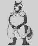  anthro belly belt breath breath_cloud claws clothed clothing dressing fur greyscale guardians_of_the_galaxy hi_res male mammal markings marvel monochrome navel overweight overweight_anthro overweight_male procyonid raccoon riece_ranchoa ring_(marking) ringtail rocket_raccoon solo standing struggling tail tail_markings tight_clothing toe_claws 