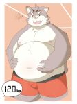  0907_kapi 2023 anthro belly big_belly bulge clothing domestic_cat felid feline felis hi_res kemono lifewonders male mammal moobs navel nipples overweight overweight_male sitri solo tokyo_afterschool_summoners underwear 