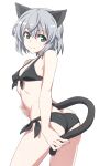  1girl animal_ears ass bikini black_bikini blush breasts butt_crack cat_ears cat_girl cat_tail closed_mouth green_eyes grey_hair looking_at_viewer nanashino sanya_v._litvyak shiny shiny_hair short_hair side-tie_bikini_bottom simple_background small_breasts smile solo strike_witches swimsuit tail white_background world_witches_series 