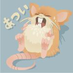  animal_focus closed_eyes commentary_request full_body grey_background no_humans open_mouth pokemon pokemon_(creature) raticate s_(happycolor_329) solo sweat tongue translation_request 