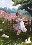  1girl :d absurdres animal bangs black_footwear blue_eyes blush brown_footwear brown_hair chinese_zodiac cloud commentary day dress eyelashes falling_petals fence field floating_hair flower flower_field full_body gate grass grey_socks hair_intakes highres holding holding_animal holding_bunny leaning_on_object loafers long_hair long_sleeves looking_at_viewer mountain open_mouth original outdoors parted_lips path petals pink_flower rabbit scenery shoes sidelocks silvertsuki sky smile socks solo standing teeth tree upper_teeth_only water white_dress white_flower white_rabbit_(animal) year_of_the_rabbit 