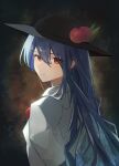  1girl absurdres black_headwear blue_hair blush closed_mouth commentary food from_side fruit hair_between_eyes hat highres hinanawi_tenshi leaf long_hair looking_at_viewer looking_to_the_side palulap peach peach_hat_ornament red_eyes shirt smile solo touhou upper_body white_shirt 