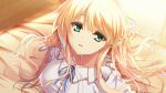  1girl backlighting bangs bed_sheet blonde_hair blue_ribbon bow collarbone floating_hair game_cg grey_eyes hair_between_eyes hair_bow hair_ribbon highres hirohashi_runa ichizu_na_kanojo_to_koi_shitai long_hair looking_at_viewer neck_ribbon open_mouth ribbon shiny shiny_hair shirt solo tsukimori_hiro upper_body white_bow white_ribbon white_shirt 