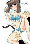  animal_ears bikini cat_ears catgirl nintendo odamaki_sapphire pokemon sapphire_(pokemon) swimsuit 