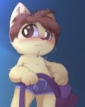  absurd_res anthro blue_background blush bodily_fluids boxer_briefs boxer_briefs_only brown_eyes brown_hair clothed clothing dressing emanata fur hair hi_res kennen_(lol) league_of_legends looking_away male partially_clothed portrait purple_boxer_briefs purple_clothing purple_underwear riot_games simple_background smite_(artist) solo sweat sweatdrop tan_body tan_fur three-quarter_portrait underwear underwear_only yordle 