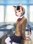  1girl animal_ears bangs beleven blue_eyes book bow brown_jacket calico cat_ears classroom collar commission day desk highres holding holding_book indoors jacket medium_hair original pantyhose plaid plaid_skirt red_bow school_desk school_uniform skirt tail uniform white_pantyhose 