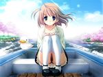  1girl angry ass blush da_capo da_capo_ii game_cg outdoors panchira_sit panties pantyshot pantyshot_(sitting) pantyshot_sitting sitting sky solo thighhighs underwear 