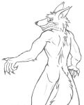  after_transformation anthro bared_teeth bodily_fluids butt canid canine canis claws dogwash drooling graphite_(artwork) male mammal monochrome muscular nude pencil_(artwork) rear_view saliva scared sharp_claws sketch solo traditional_media_(artwork) were werecanid werecanine werewolf wolf 