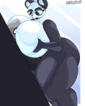  ambiguous_gender ambiguous_species anthro bear big_breasts big_butt blush breast_smother breasts butt duo epic_games featureless_breasts female fortnite giant_panda green_eyes grey_body hand_on_breast hi_res huge_breasts huge_butt huge_thighs hyper hyper_breasts hyper_thighs mammal multicolored_body panda_team_leader pinned pinned_to_wall smile smothering thick_thighs two_tone_body zeglo-official 