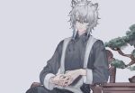  1boy alternate_costume animal_ears arknights bonsai chair changpao chinese_clothes chinese_commentary closed_mouth commentary_request fingernails grey_background grey_eyes grey_hair grey_shirt hair_between_eyes highres interlocked_fingers jewelry kouhai_(lofter_p178) leopard_ears long_sleeves looking_at_viewer male_focus on_chair own_hands_together ring shirt short_hair silverash_(arknights) simple_background sitting solo upper_body 