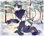  canid canine canis exclusive kiri-anko mammal solo transformation were werecanid werecanine werewolf winter wolf wood 