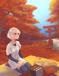  autumn blonde_hair brown_eyes food forest lowres nature original picnic_basket seiza short_hair sitting solo thighhighs torii weno weno's_blonde_original_character zettai_ryouiki 