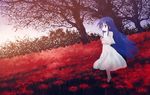  bad_id bad_pixiv_id barefoot blue_hair dress flower ghost isou_nagi izumi_kanata landscape long_hair lucky_star scenery solo spider_lily 