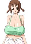  breasts brown_eyes brown_hair cleavage hinako_(issho_ni_training) huge_breasts issho_ni_training long_breasts shorts takaibiki tank_top 