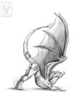  2019 butt claws dragon feral minerea scalie simple_background sketch solo traditional_media_(artwork) western_dragon white_background 