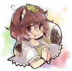  1girl :d animal_ears bangs bracelet brown_eyes brown_hair brown_shirt capelet commentary_request fang futatsuiwa_mamizou glasses jewelry leaf leaf_on_head looking_at_viewer open_mouth pince-nez raccoon_ears raccoon_girl raccoon_tail sen1986 shirt short_hair smile solo tail touhou upper_body 