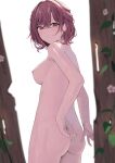  1girl absurdres adjusting_clothes ass bangs blurry breasts brown_eyes brown_hair closed_mouth completely_nude fence from_behind gin00 highres higuchi_madoka idolmaster idolmaster_shiny_colors medium_breasts nipples non-web_source nude short_hair solo standing uncensored wooden_fence 