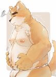  10_cosmo_24 2023 anthro asian_clothing belly blush bulge canid canine canis clothing domestic_dog east_asian_clothing eyes_closed fundoshi hi_res japanese_clothing kemono male mammal moobs musashi_(tamacolle) navel nipples overweight overweight_male solo tamacolle underwear white_clothing white_fundoshi white_underwear 