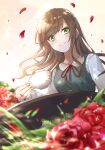  1girl absurdres bangs blurry blurry_foreground blush brown_hair collared_shirt cup falling_petals flower from_below green_eyes highres holding holding_cup long_hair long_sleeves neck_ribbon original petals ribbon rose school_uniform shirt smile solo ssn_(sasa8u9r) table teacup wind 