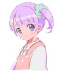  1girl blunt_bangs closed_mouth collared_shirt commentary_request cropped_torso green_scrunchie hair_ornament hair_scrunchie highres looking_at_viewer manaka_non manaka_non_(normal) pretty_series pripara purple_eyes purple_hair rituyama1 scrunchie shirt short_hair side_ponytail simple_background smile solo upper_body white_background white_shirt 