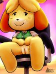 2023 aerosin animal_crossing blush bottomless canid canine canis chair clothed clothing domestic_dog female furniture genitals hi_res isabelle_(animal_crossing) looking_at_viewer mammal nintendo pussy sitting smile solo upskirt