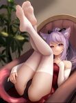  1girl absurdres animal_ears black_panties cat_ears couch dress elbow_gloves fanteam feet feet_up full_body gloves highres legs_up long_hair looking_at_viewer original panties purple_hair red_dress skirt soles thighhighs thighs underwear white_gloves white_thighhighs yellow_eyes 