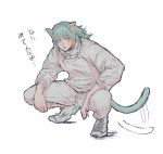  1boy animal_ears aqua_eyes aqua_hair arms_on_knees cat_boy cat_ears cat_tail highres jujutsu_kaisen kashimo_hajime kemonomimi_mode male_focus medium_hair pants seey00 shirt shoes sneakers solo squatting sweater tail tail_wagging white_background white_pants white_shirt white_sweater 